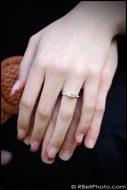 engagement picture engagement picture