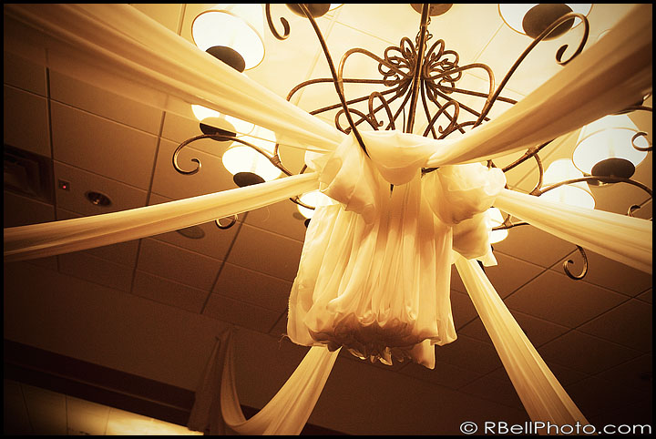 Cypress Wedding Photography Cypress Wedding Photography