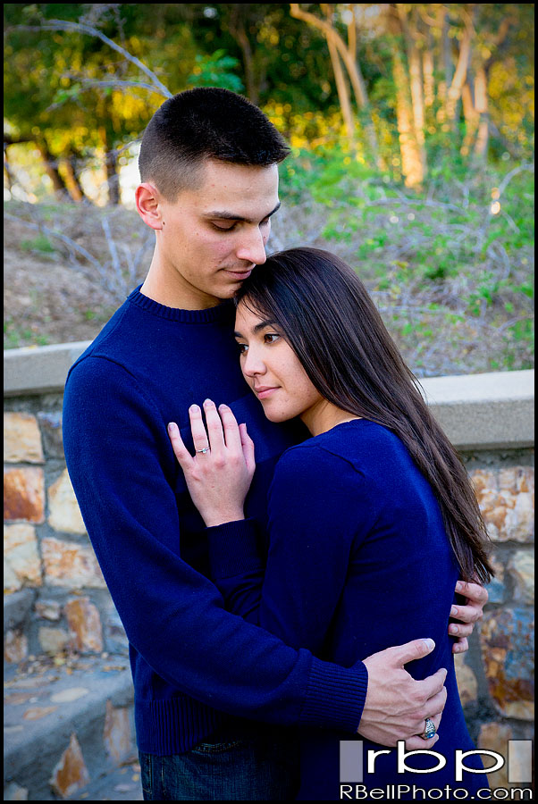 engagement picture engagement picture