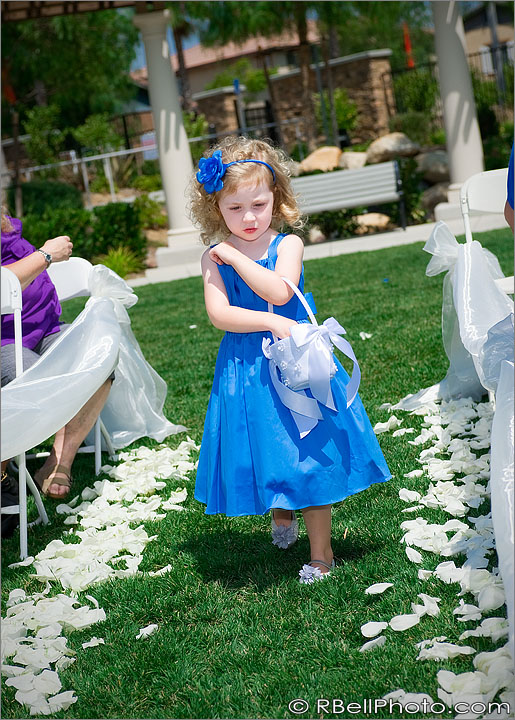 Wedding Photography Wedding Photography